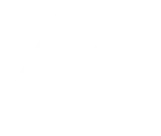 Логотип Fulton
