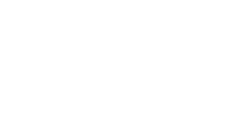 Логотип Verme